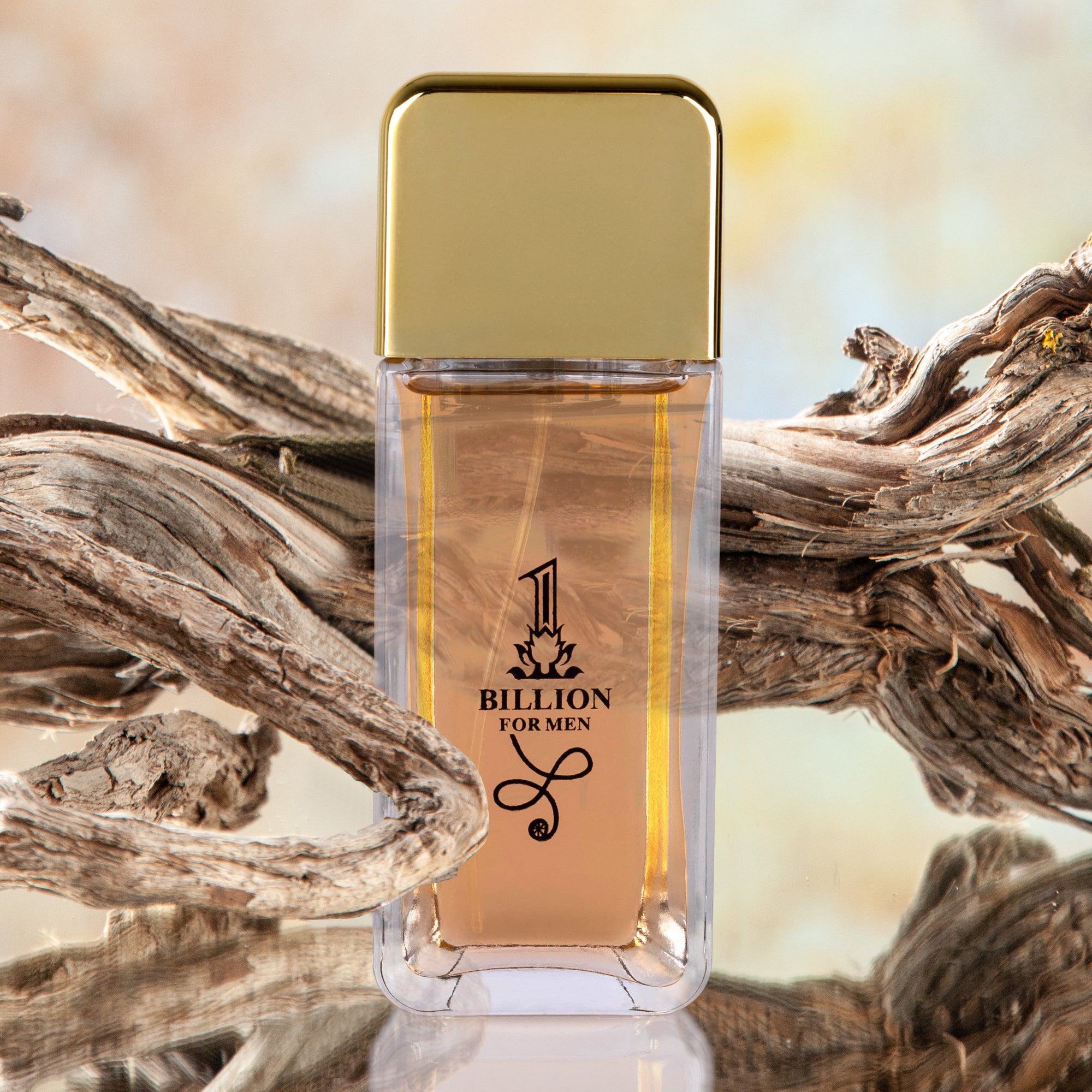 1 Billion Perfume for Men 3.4 oz -  Magnetic Masculine Perfume | NovoGlow